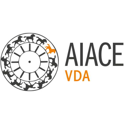 Logo Aiace vda